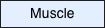 Muscle