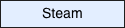 Steam